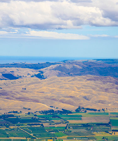 NEW Blenheim city